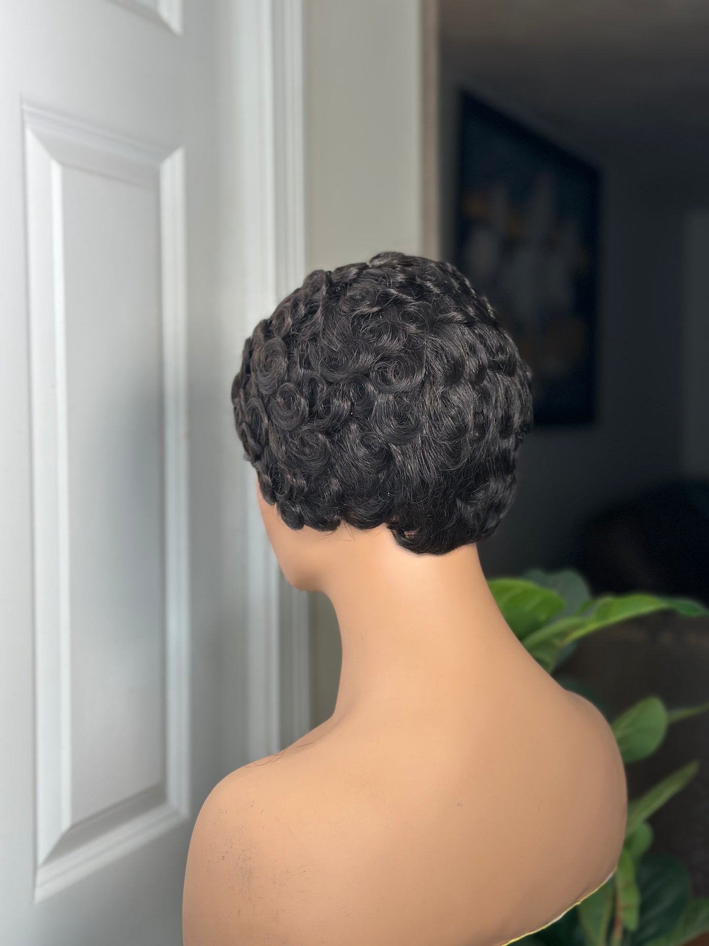Luxury Curly Pixie Cut Wig – Soft Defined Curls | Glueless & Beginner-Friendly